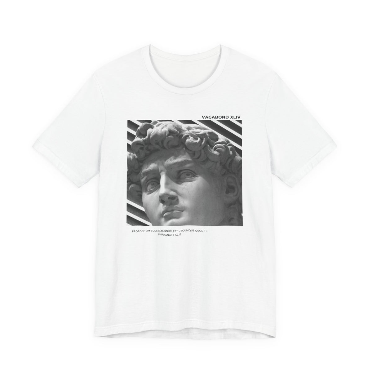 Statue of David Graphic Tee — Vintage Sculpture Art T‑Shirt