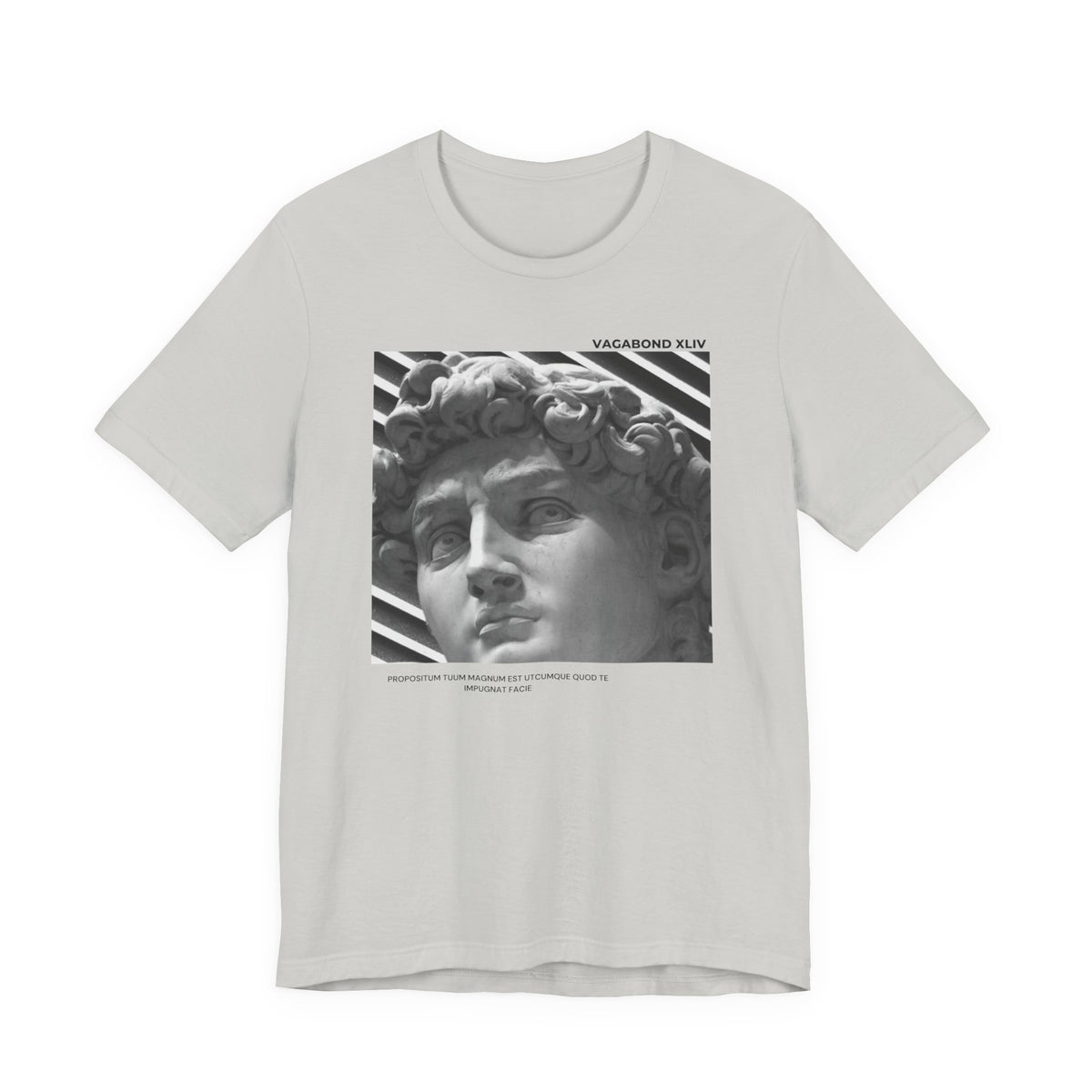 Statue of David Graphic Tee — Vintage Sculpture Art T‑Shirt