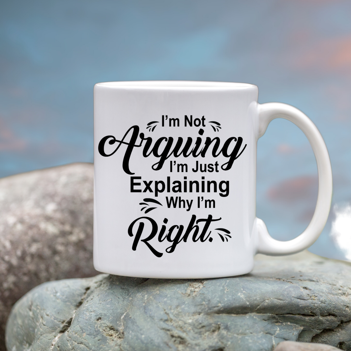 I'm not arguing, just explaining why I'm Right — Funny Office Coffee Cup