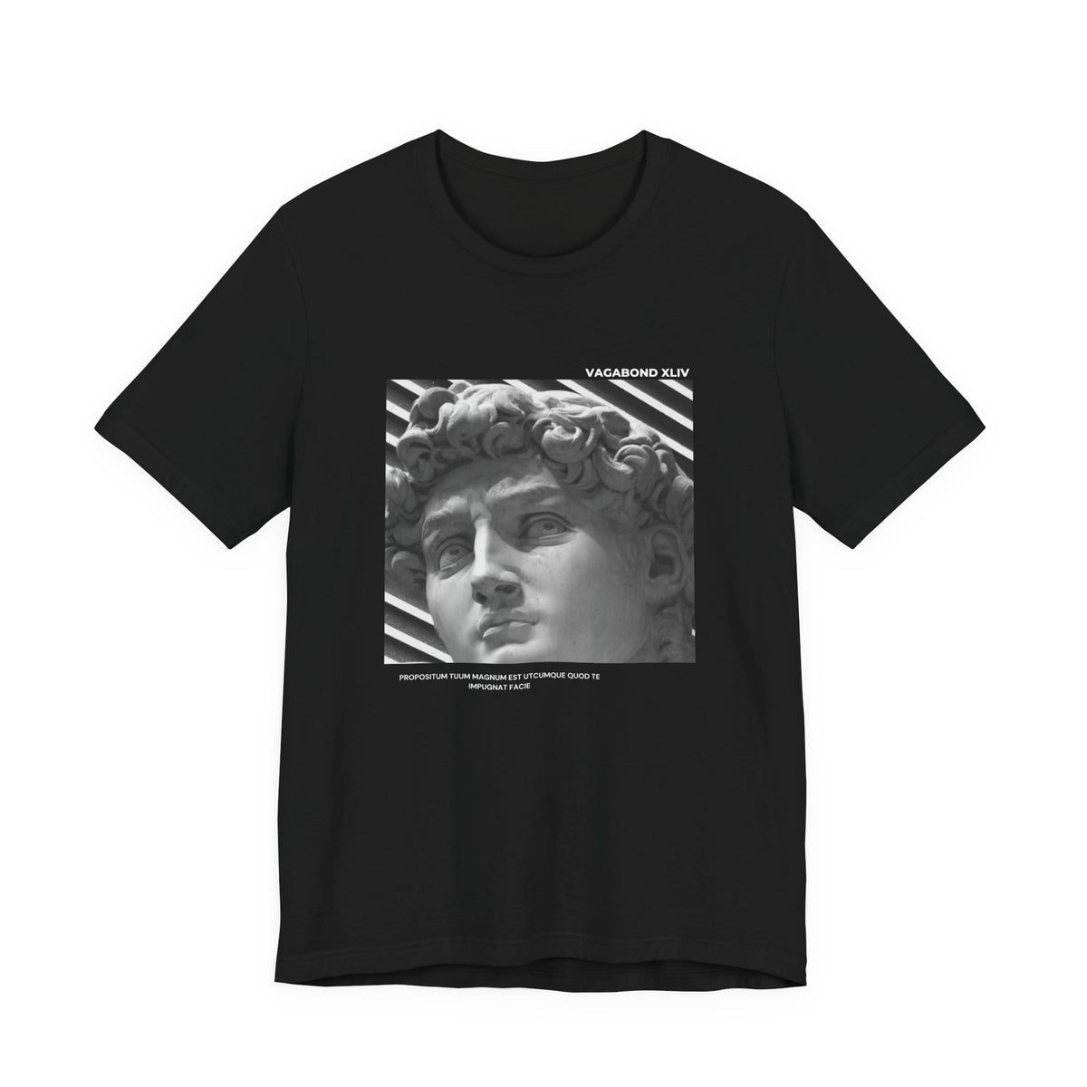 Statue of David Graphic Tee 2 — Vintage Sculpture Art T‑Shirt