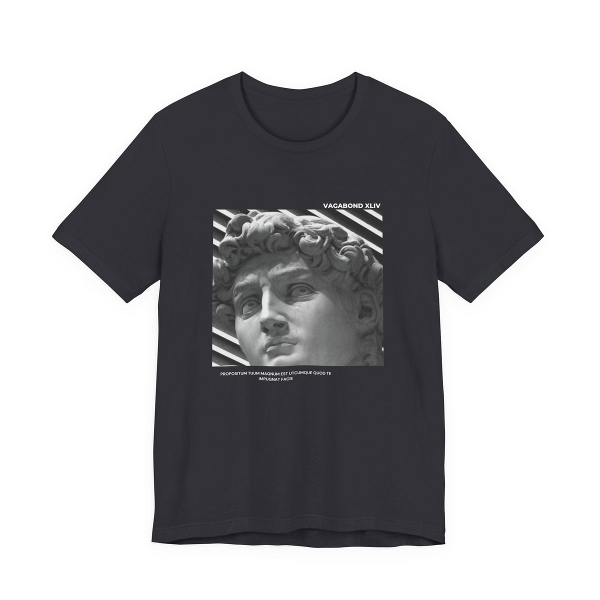 Statue of David Graphic Tee 2 — Vintage Sculpture Art T‑Shirt